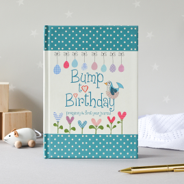 Bump to Birthday (Mummy & Mummy) pregnancy & first year journal by from you to me